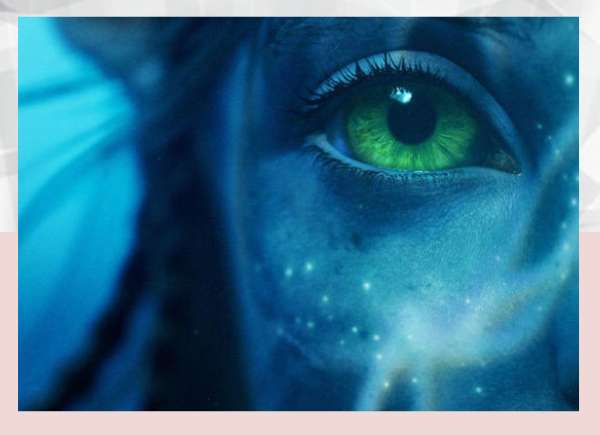Cast of Avatar Concerned James Camerons obsession with the ocean will kill him