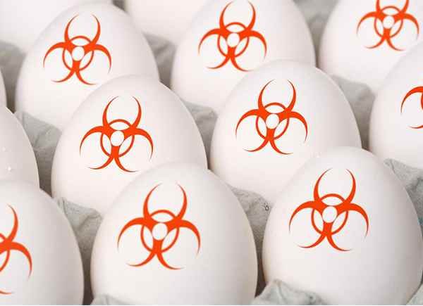 Highly Pathogenic Asian Avian Influenza A(H5N1) Virus, Symptoms, Precaution