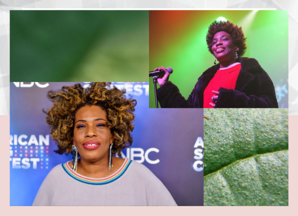 Macy Gray is a singer and actress from the United States.