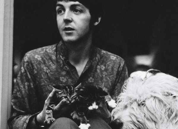 One song from The Beatles White Album was inspired by Paul McCartneys time as a Boy Scout.