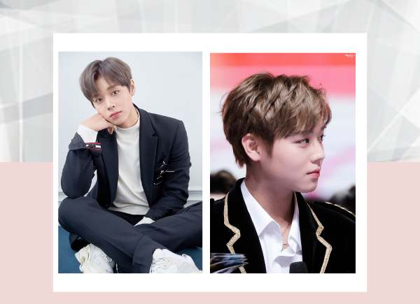 Park Ji-hoon Wiki, Age, Biography, Height, Girlfriend, Family, Images, And More