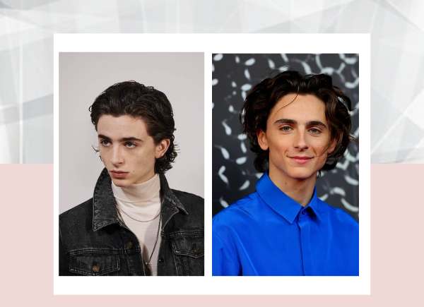 TIMOTHEE CHALAMET Wiki, Age, Biography, Height, Girlfriend, Family, Images, And More