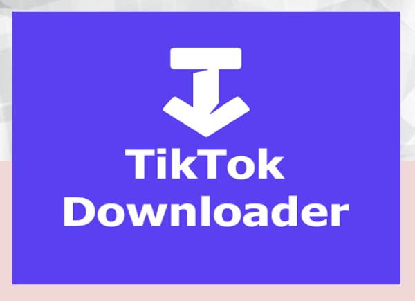 The Best Tiktok Video And Twitter Video Downloader